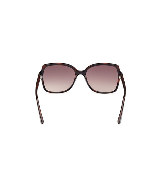 Injected Sun Glasses F Dark Havana Gradient Brown