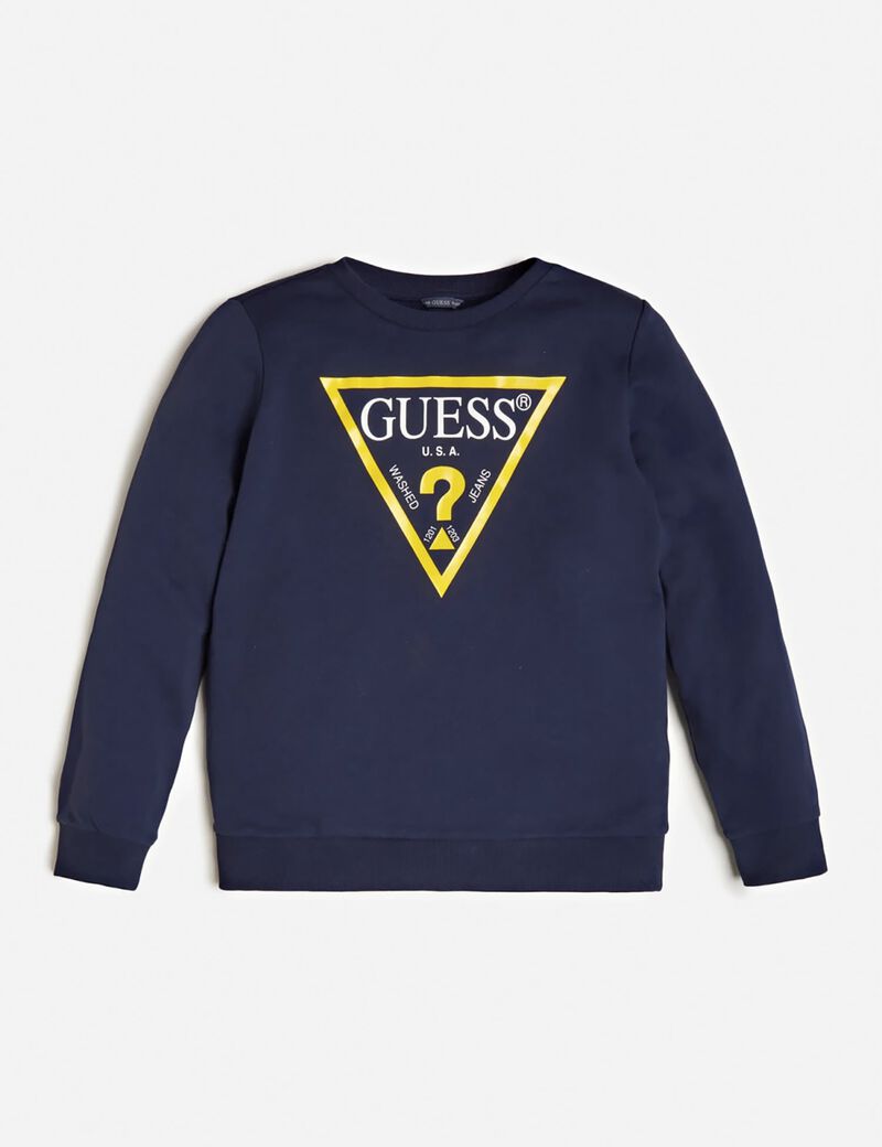 Triangle Logo Sweatshirt