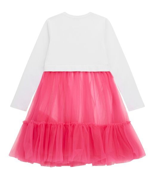 Mesh ruffles fit and flare dress