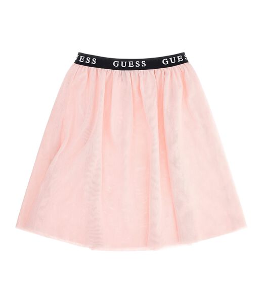 All Over Mesh Skirt