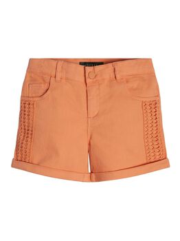 Embroidered Shorts