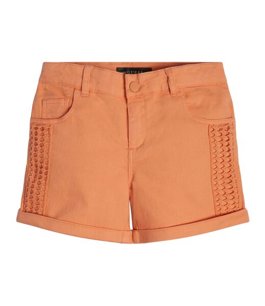 Embroidered Shorts