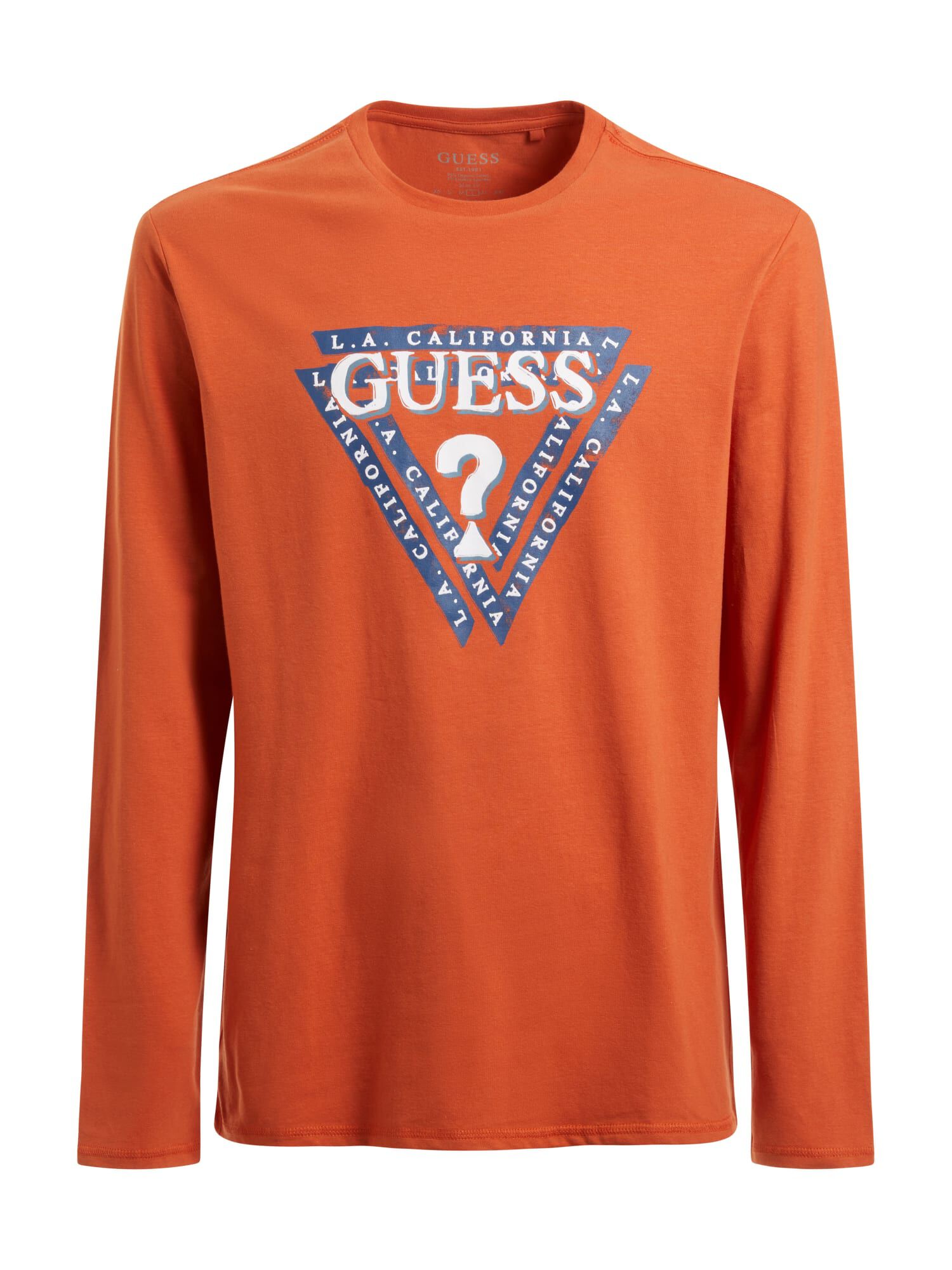 Shop GUESS Online Triangle Logo T Shirt