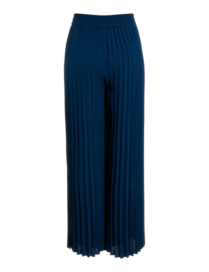 Pleated Pants