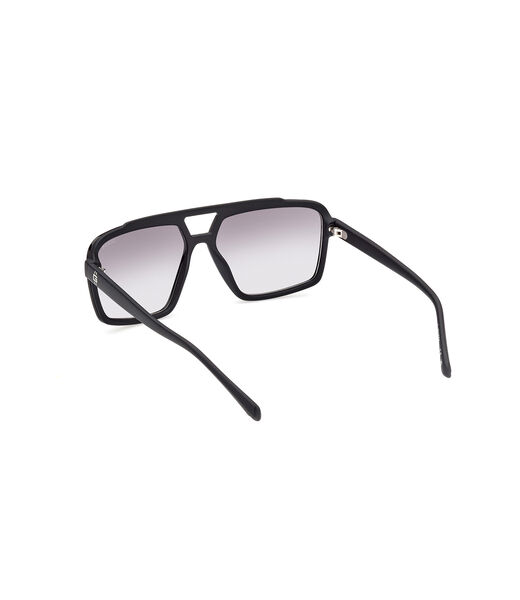 Navigator Sunglasses