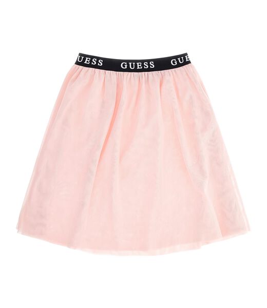 All Over Mesh Skirt