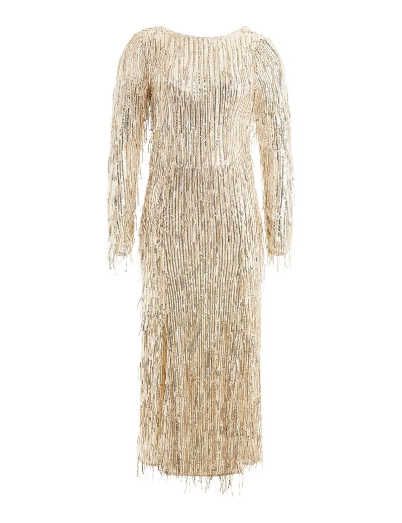 Fringes With Sequins Dress