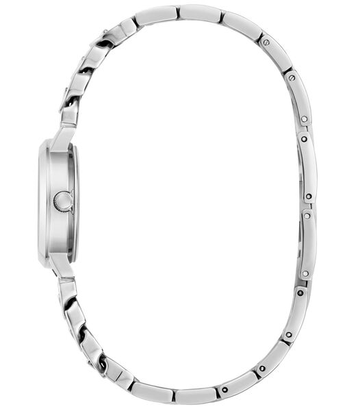 Ladies Silver Tone Analog Watch