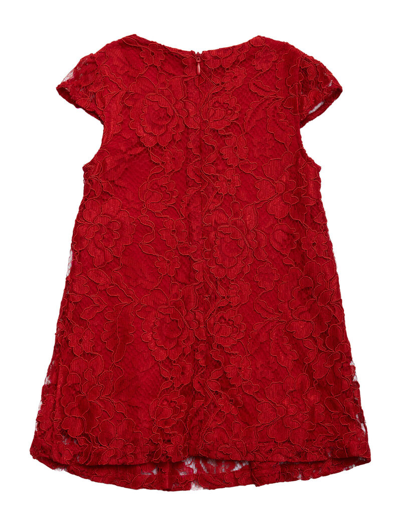 Lace fit and flare dress