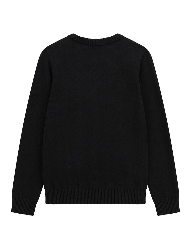 Long sleeeve sweater