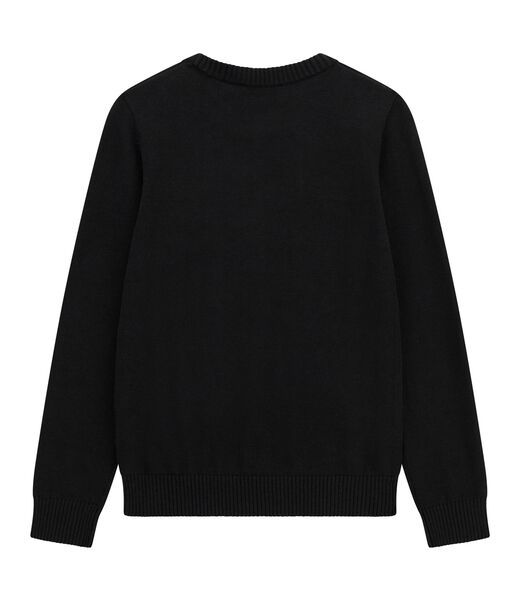 Long sleeeve sweater