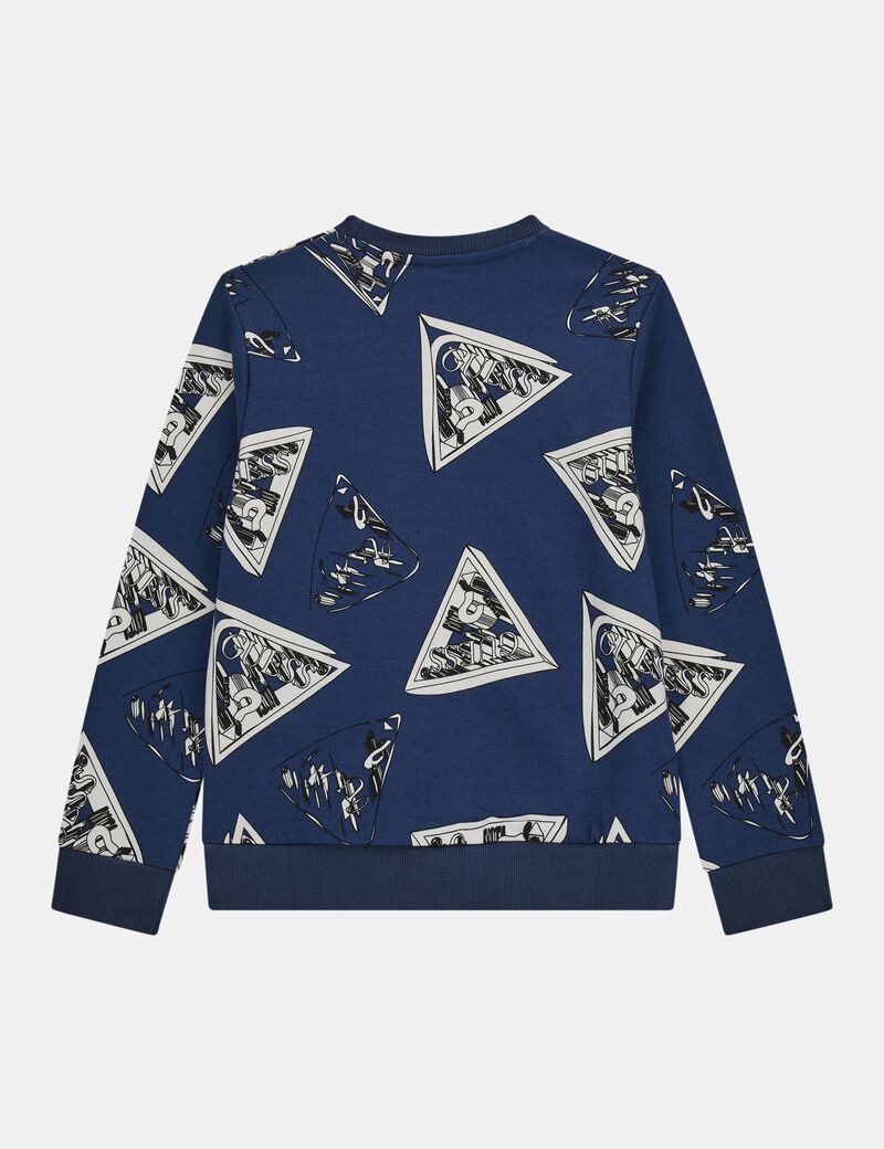 All over print sweatshirt