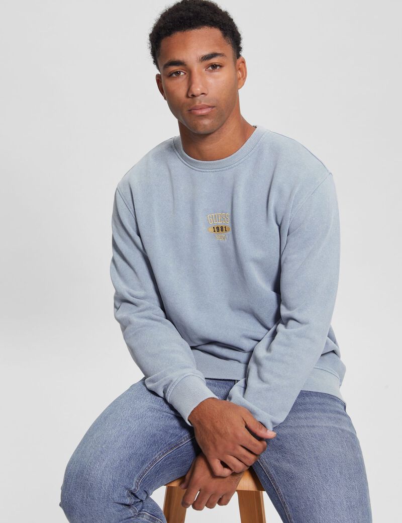 Small Embroidered Logo Sweatshirt