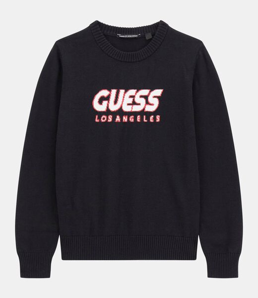 Long sleeeve sweater
