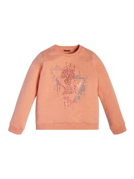 Logo Sweatshirt