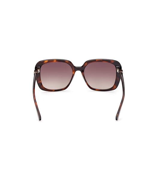 Square Sunglasses