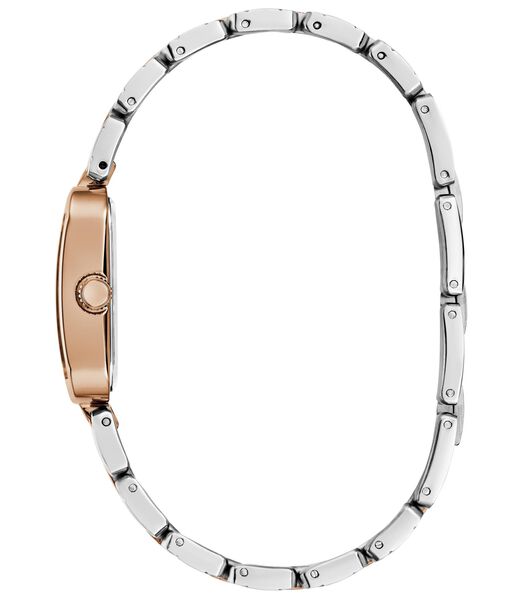 Ladies 2-Tone Rose Gold Tone Analog Watch