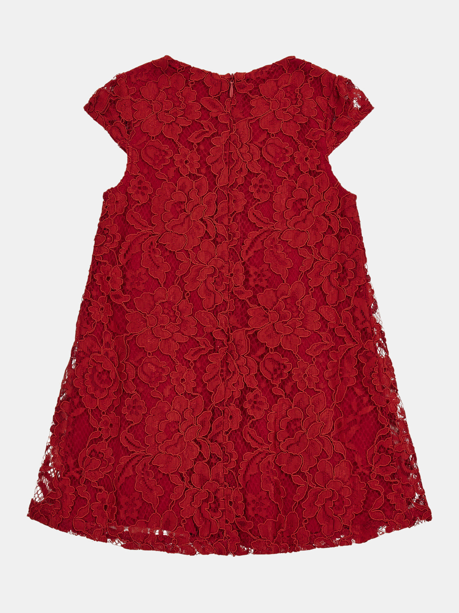 Shop GUESS Online Lace fit and flare dress