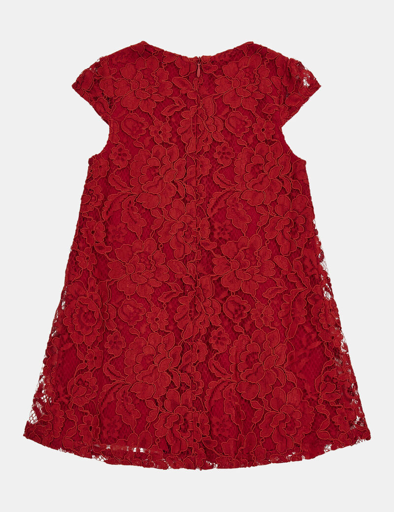 Lace fit and flare dress