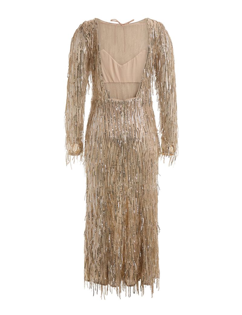 Fringes With Sequins Dress