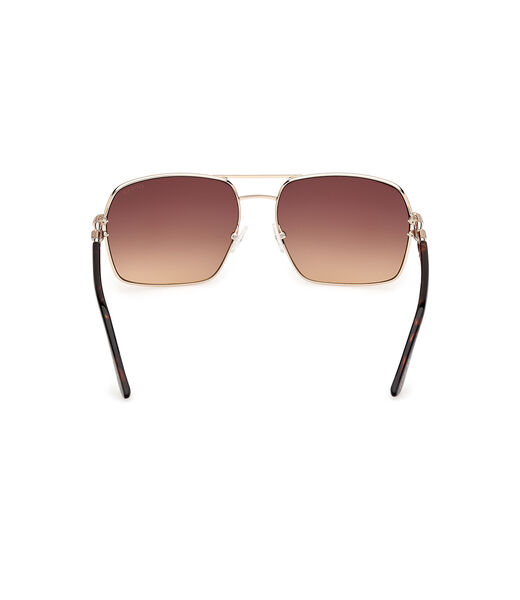 Navigator sunglasses