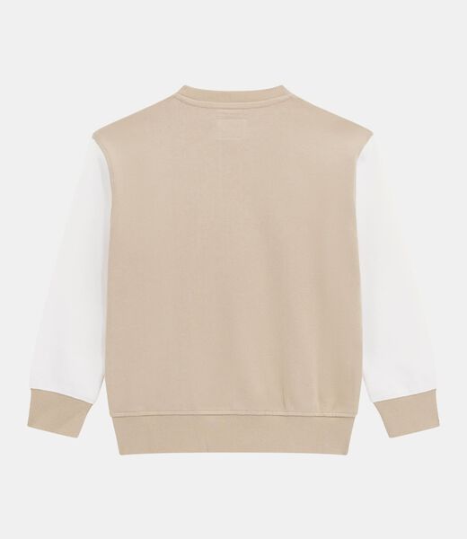 Color block sweatshirt