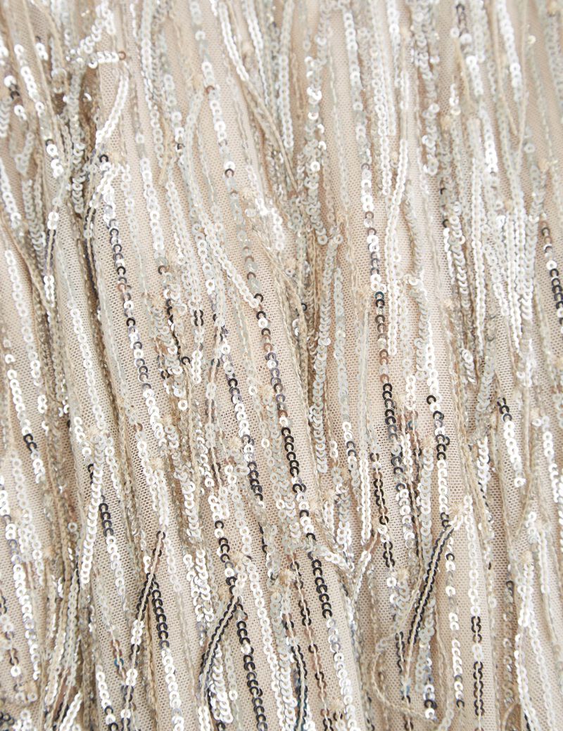 Fringes With Sequins Dress