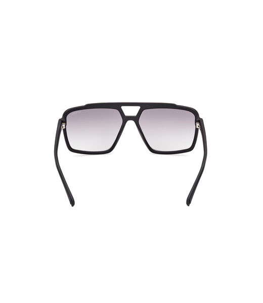 Navigator Sunglasses