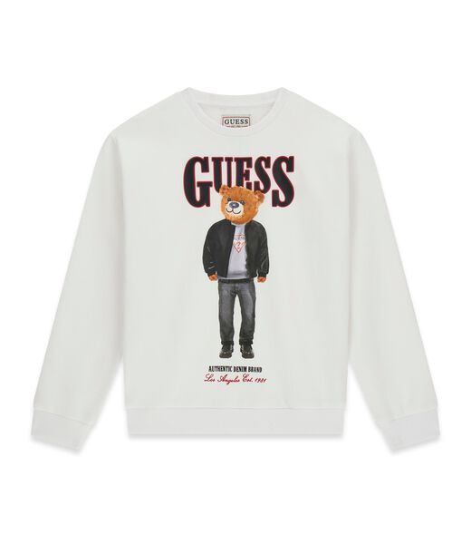 Teddy bear sweatshirt