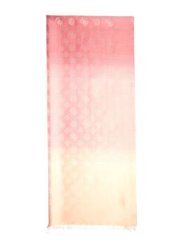 Ombre Scarf