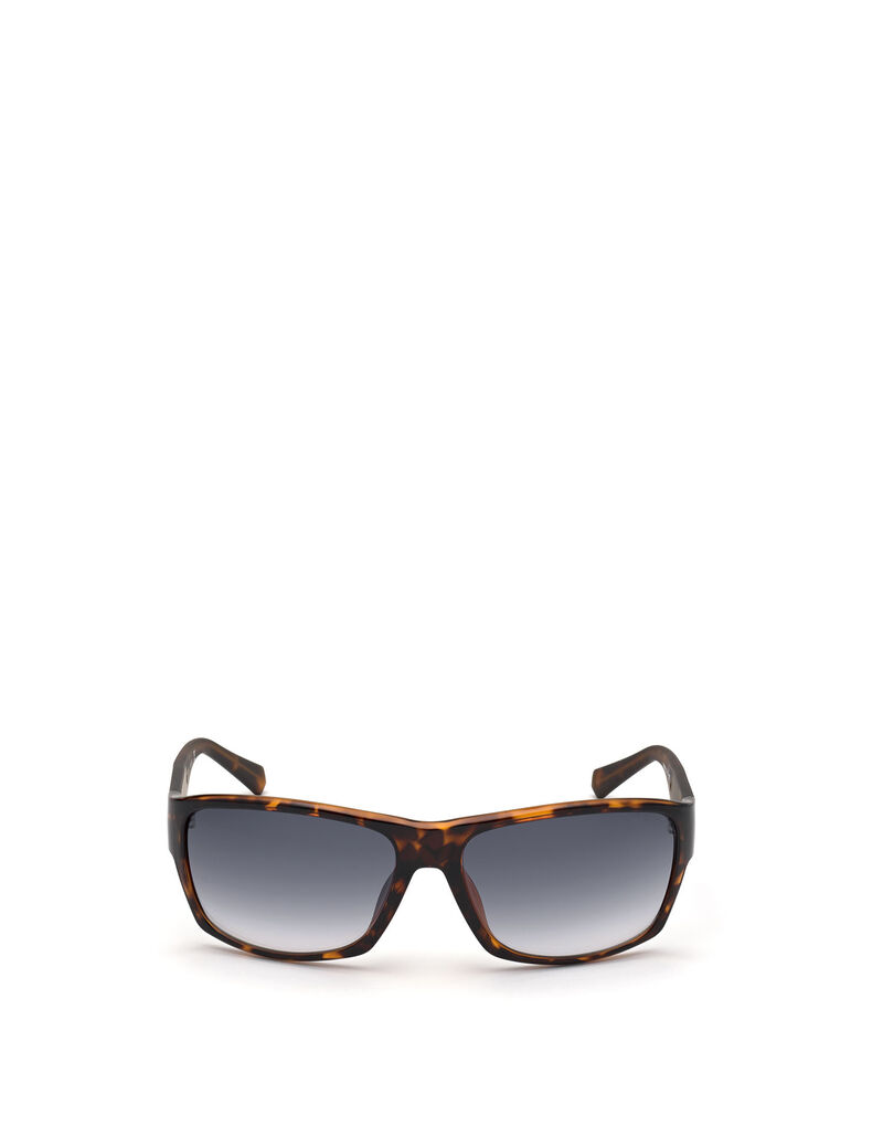 Navigator Sunglasses