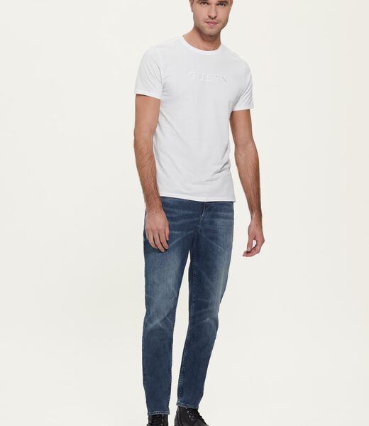 Regular Fit Denim Pant