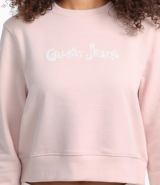 Printed logo cropped sweatshirt