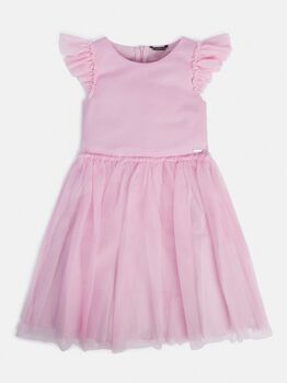 Tulle Insert Dress