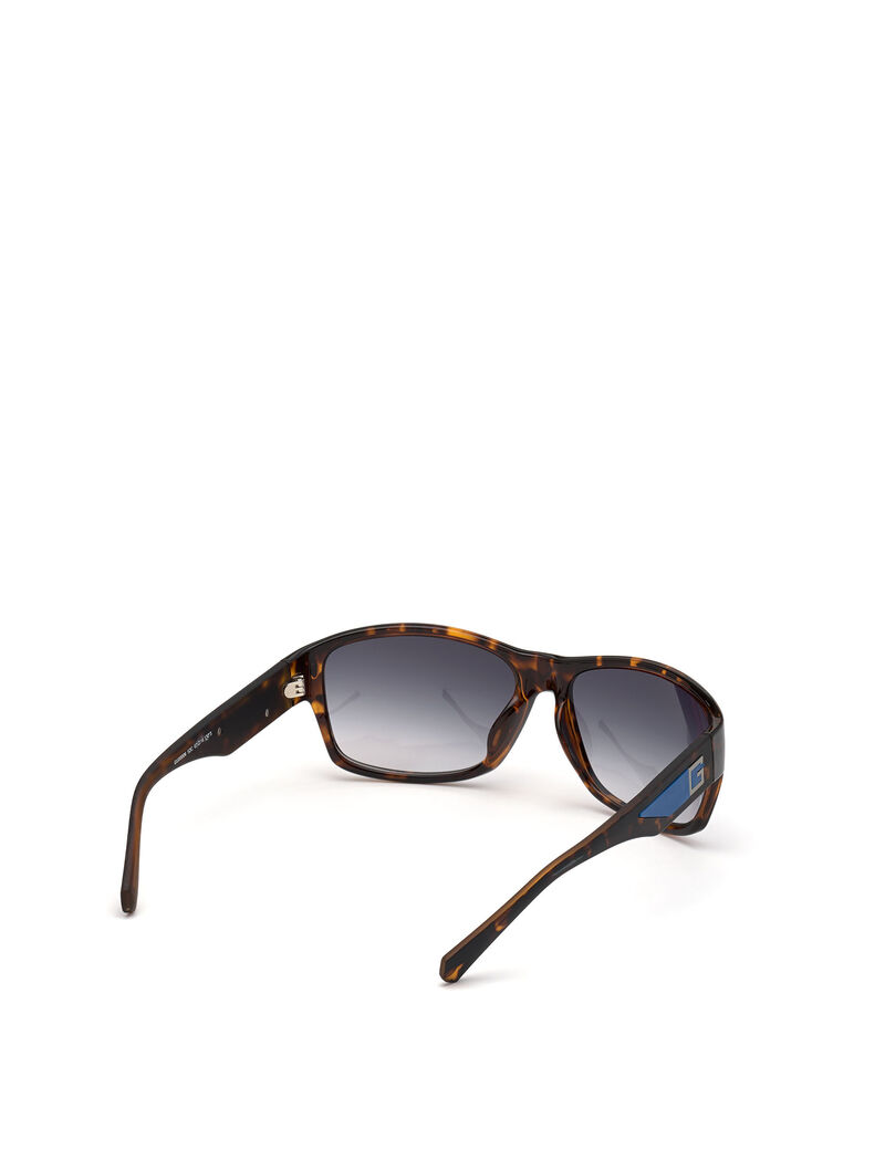 Navigator Sunglasses