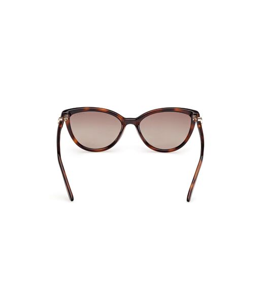 Cat eye brown sunglasses