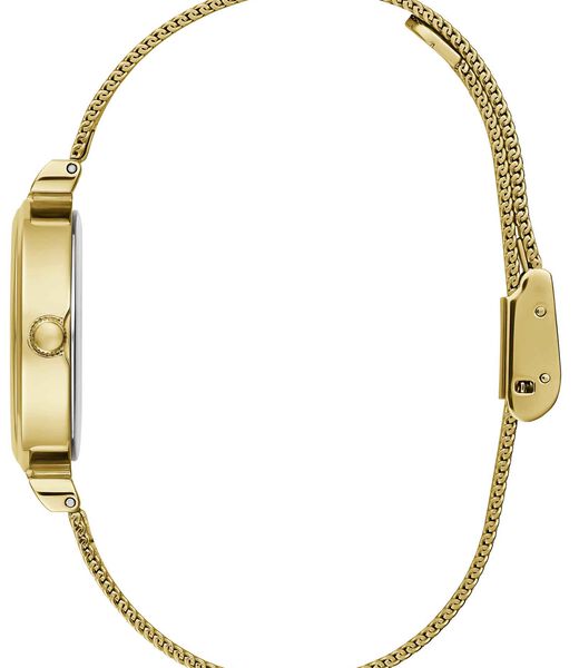 Gold-tone Mesh Analog Watch