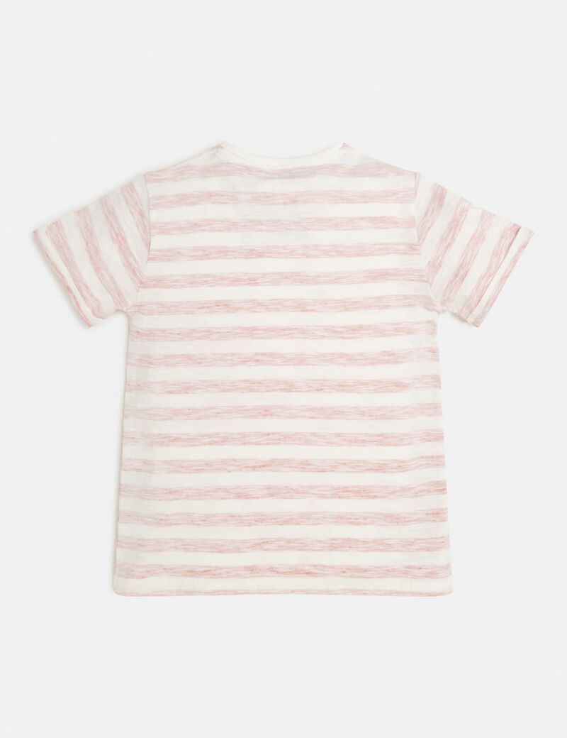 Striped T-Shirt