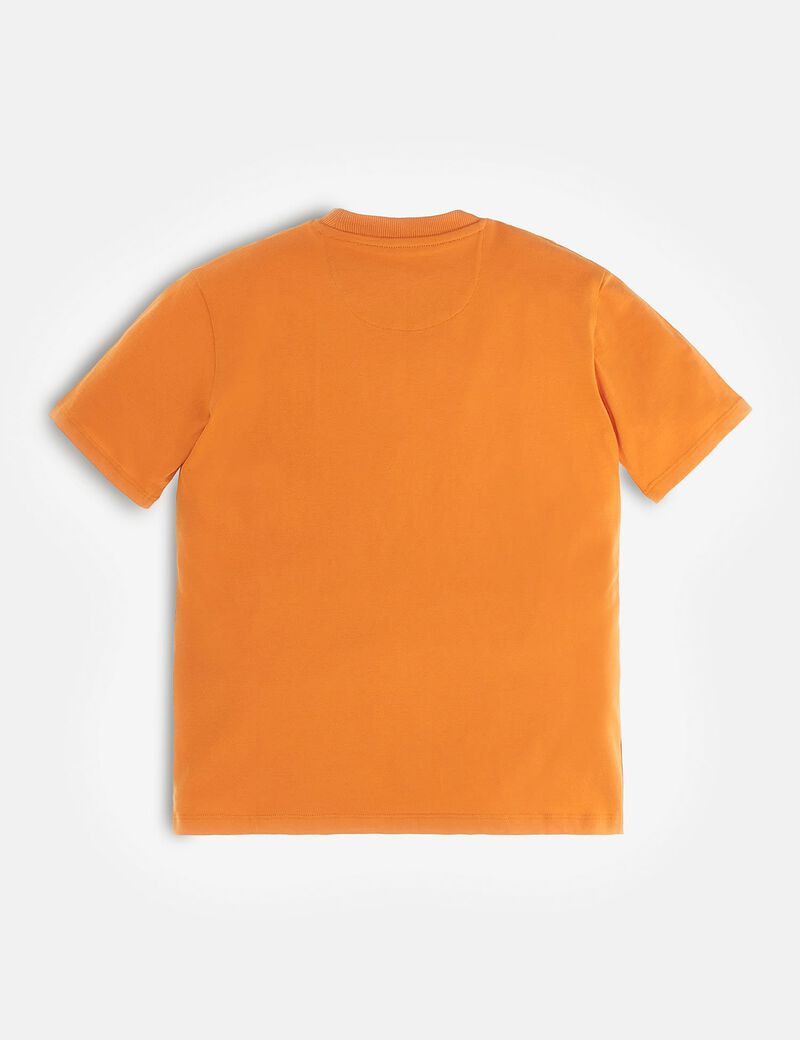 Triangle logo t-shirt