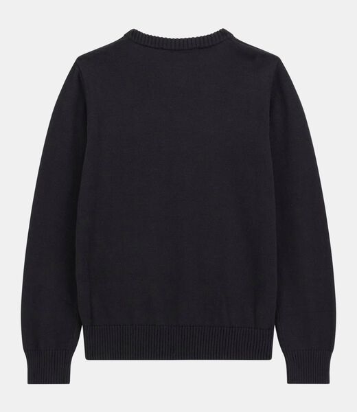Long sleeeve sweater