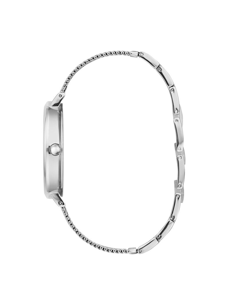 Silver Mesh Watch