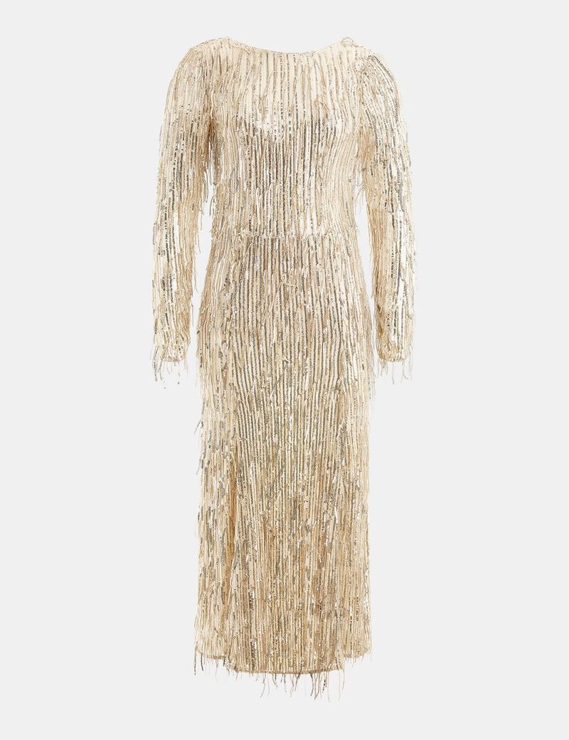 Fringes With Sequins Dress