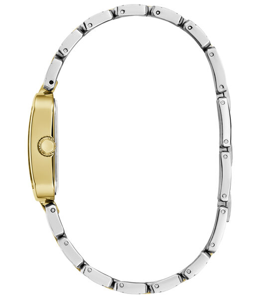 Ladies 2-Tone Gold Tone Analog Watch