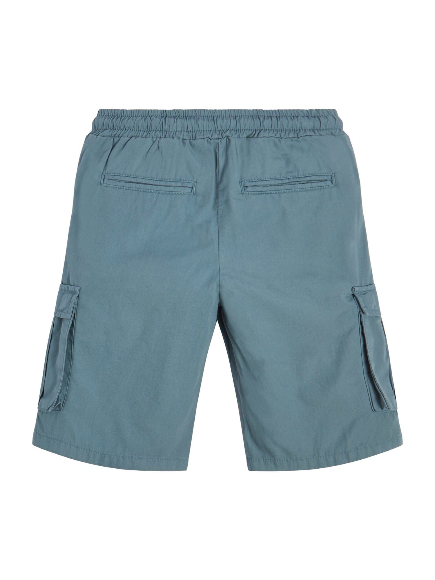 Guess men's cargo shorts online