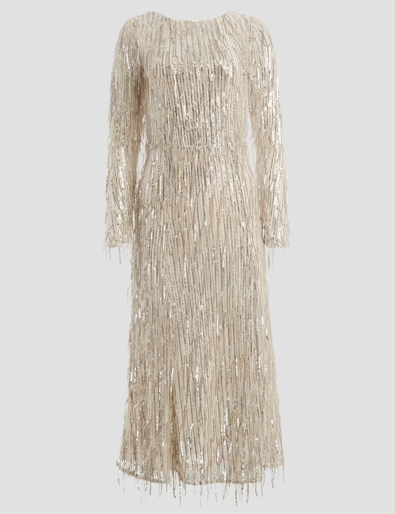Fringes With Sequins Dress
