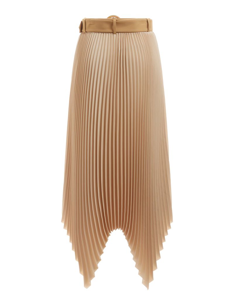 Asymmetrical Pleated Skirt