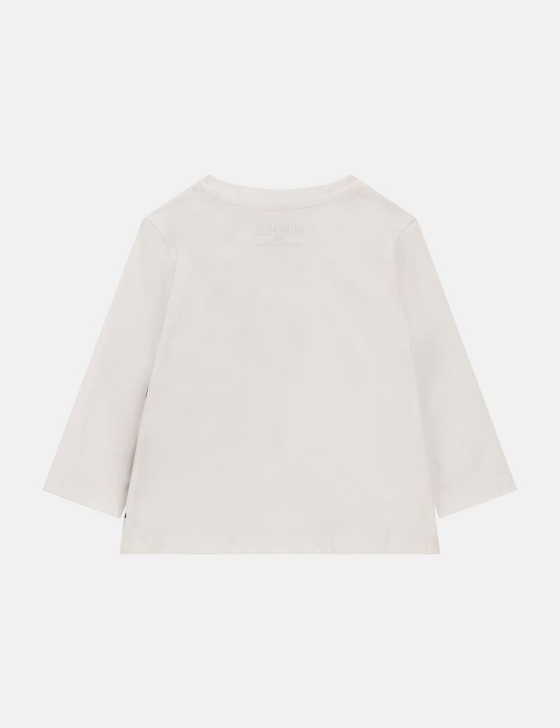 Bear Print T-Shirt