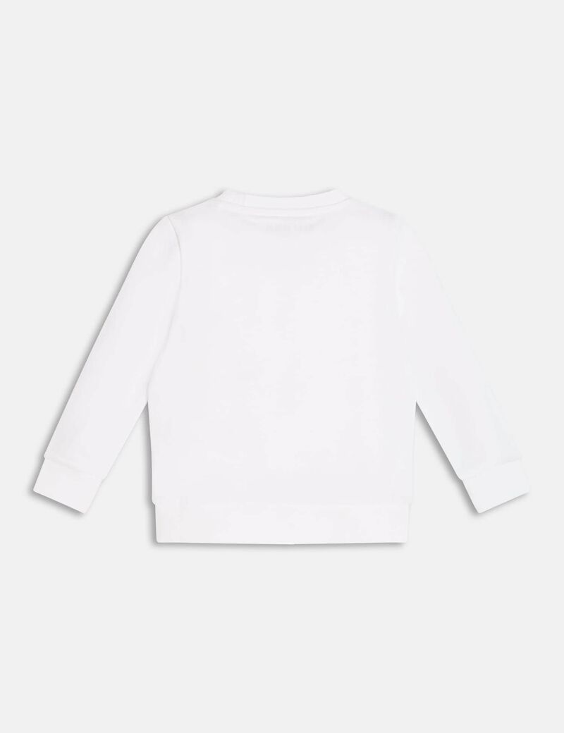 Triangle Logo Sweatshirt