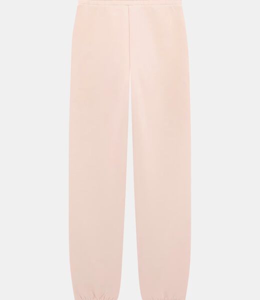Logo scuba joggers