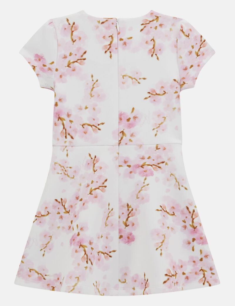 Floral scuba dress